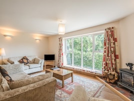 Televisión, reproductor de DVD