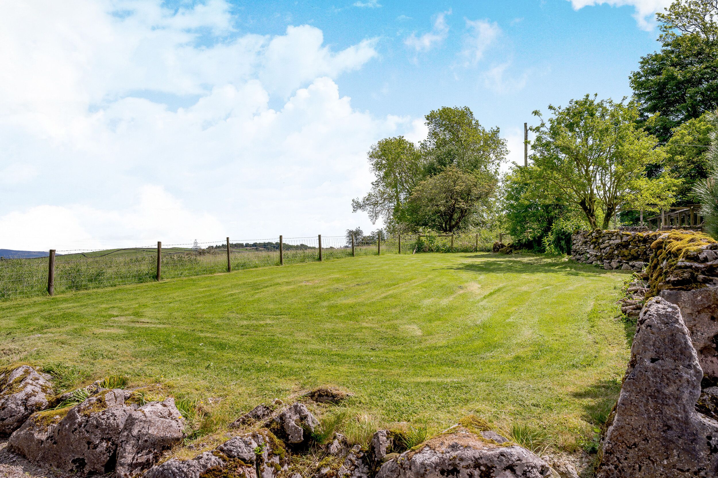 A grassy field with a stone wall and trees.