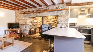Een gezellige woonkamer met een stenen openhaard, een televisie en een keuken met moderne apparatuur.