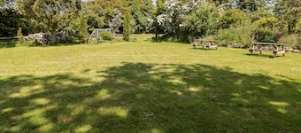 The Duck House