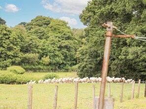 A fenced area with a herd of sheep. - Holly Farm Cottage (Llandrindod Wells)