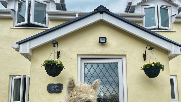 Een gebouw met een bord waarop staat 'Saddler's Cottage' en een deur met een raamrooster.