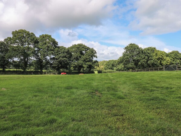 A grassy field with trees and a wooden fence. - Barn Shelley Lodge (Crediton)