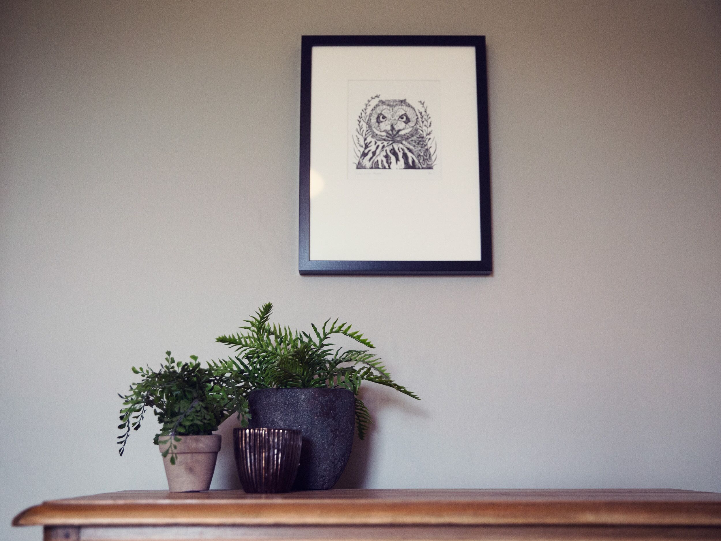 A framed owl drawing on a wall, a wooden shelf with potted plants, and a textured vase.