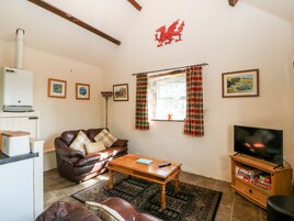 Televisión, reproductor de DVD