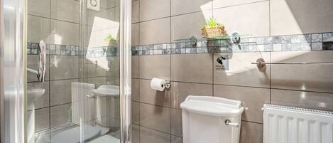 A bathroom with a glass shower enclosure, a toilet, a radiator, and a shelf with a plant.