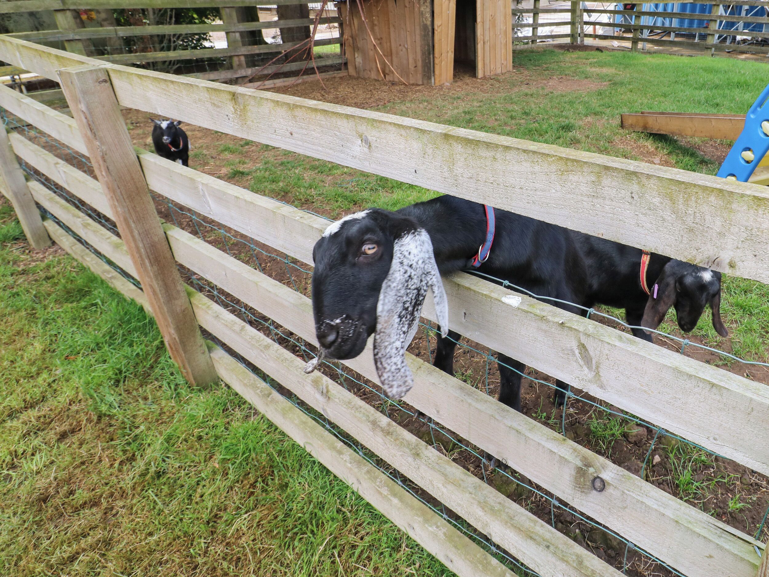 Stuga | Boendeområde