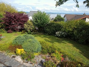 A garden with various plants and a view of houses in the background.