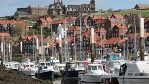 A marina with boats docked, surrounded by traditional red-roofed buildings and a historic church in the background. - Waddleduck (Whitby)