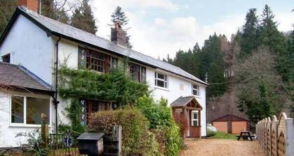 Forestry Cottage