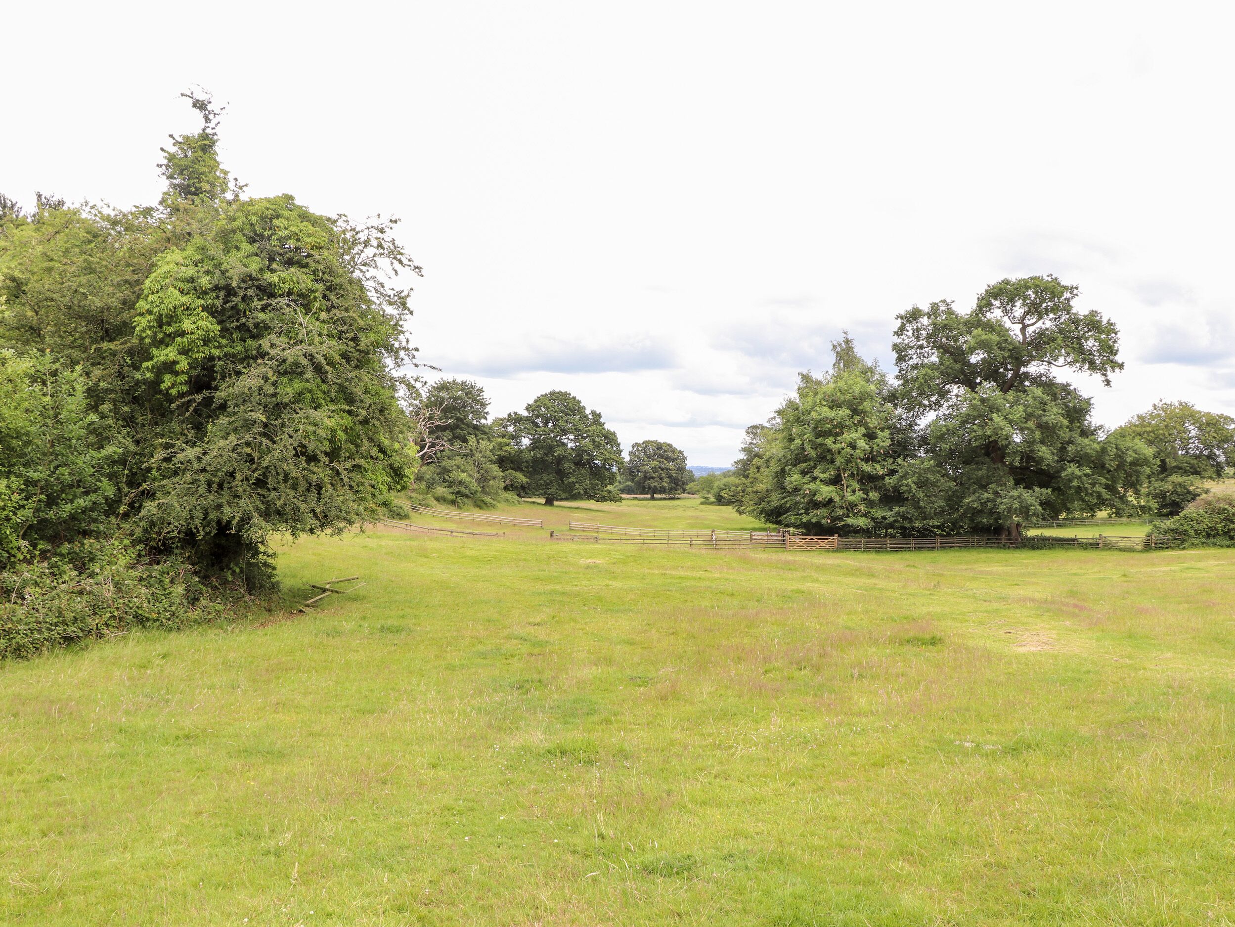 A grassy field with trees and a wooden fence.