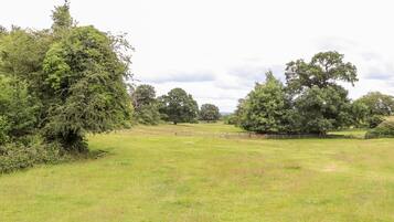 A grassy field with trees and a wooden fence.