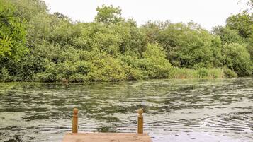 A wooden dock extending into a river surrounded by dense greenery.