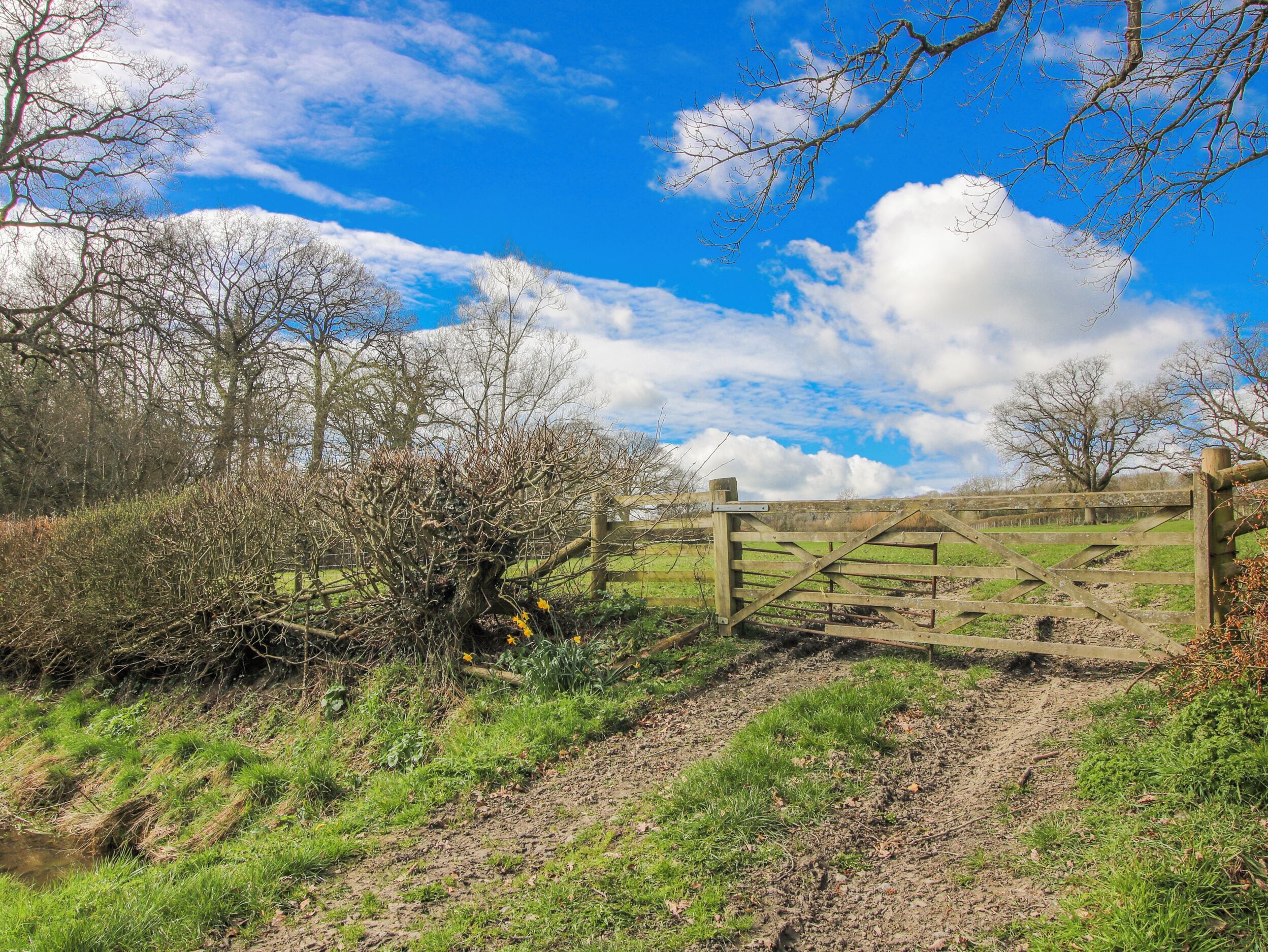 A rural landscape with a wooden gate, a dirt path, and a grassy field.