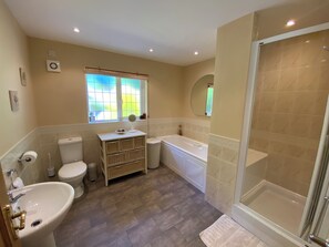 Cottage | Bathroom | Shower, hair dryer - Bedw Arian Cottage (Tyn-y-Gongl)