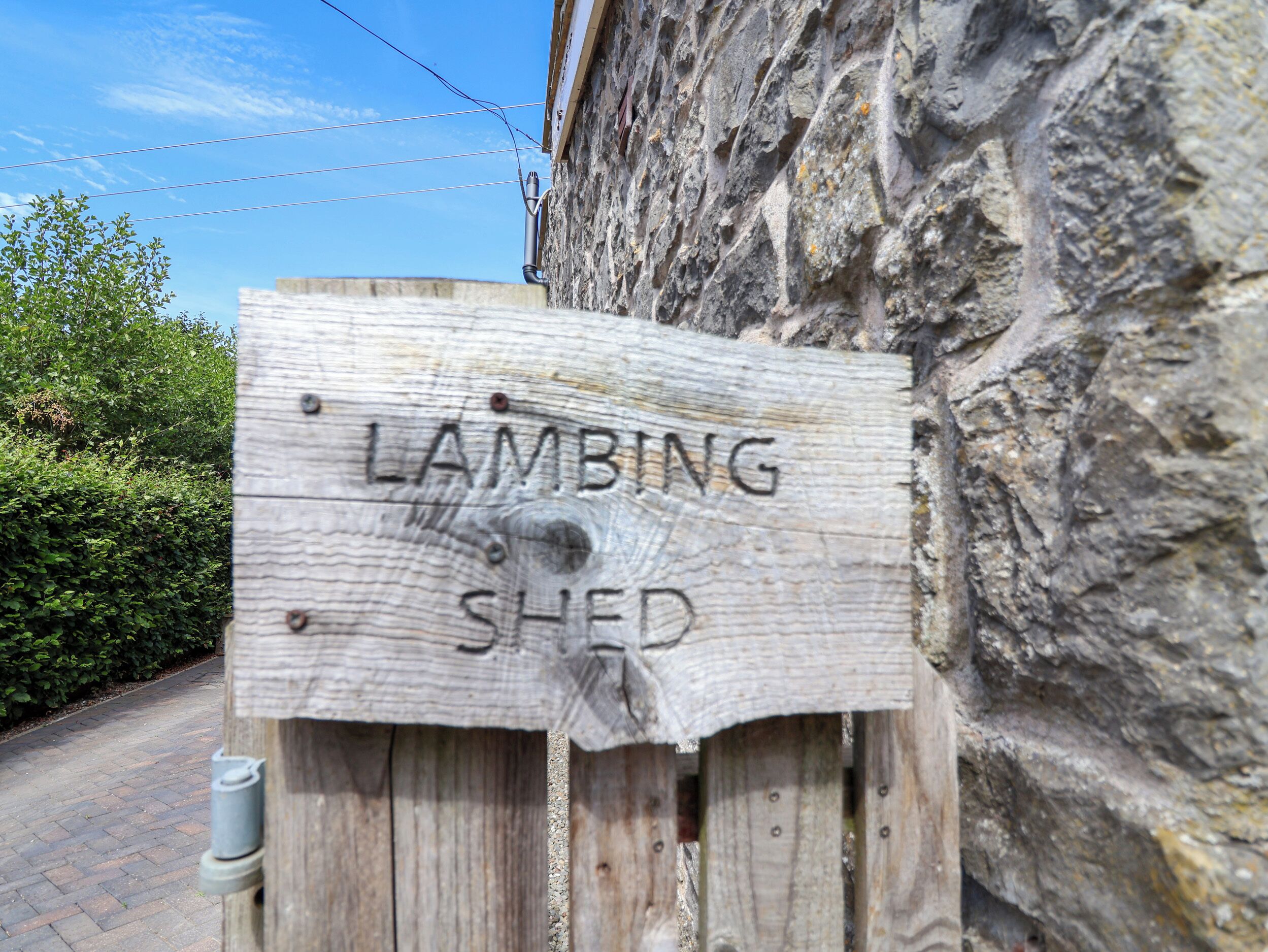 Uma placa de madeira com o texto 'LAMBING SHED' fixada num poste.