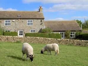 Cottage | Bahagian dalam