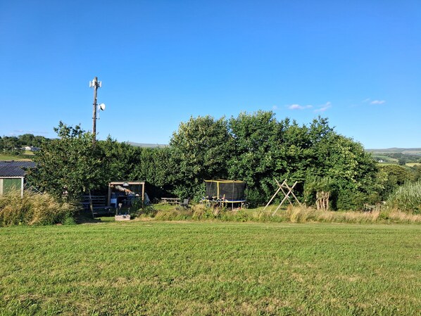 A rural landscape with a large tree, a small shed, and a grassy field. - Woodstone Barn (Tavistock)