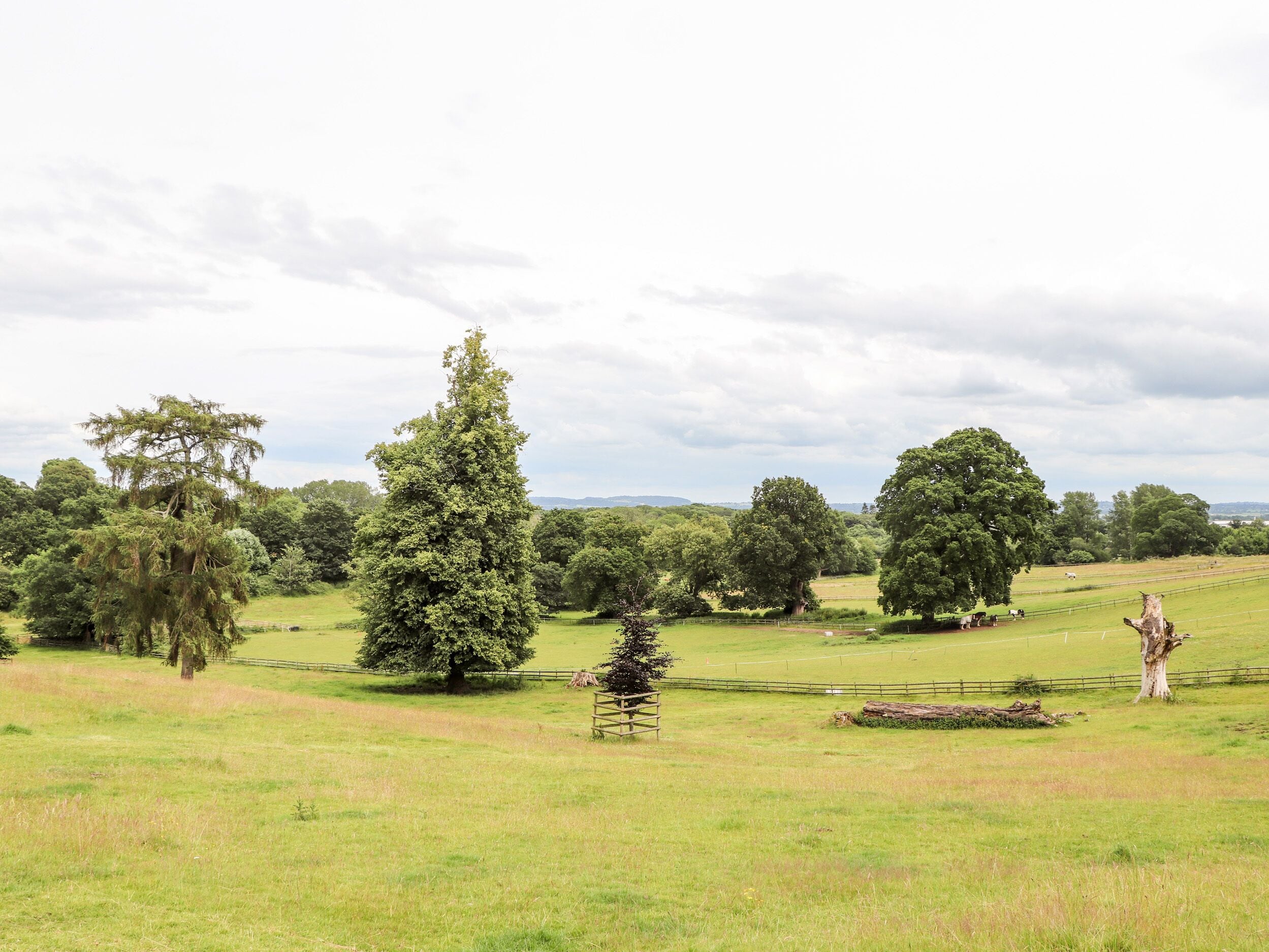 A rural landscape with a variety of trees and open fields.