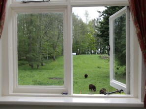 Casa de campo | Parte interna