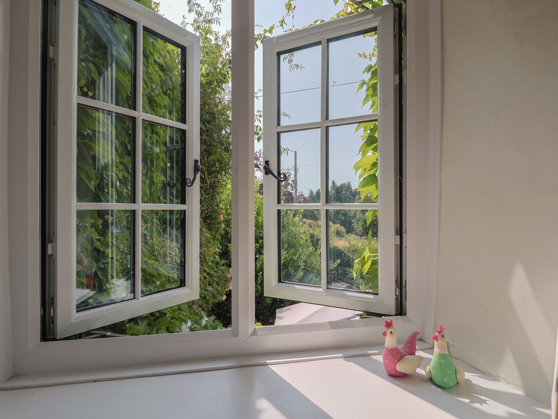 A window with a view of greenery outside.
