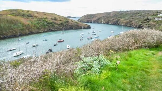 A coastal landscape with a narrow waterway, boats, and grassy hills. - Court House (Haverfordwest)