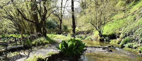 Cottage | Property grounds
