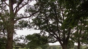 Cottage | Nội thất