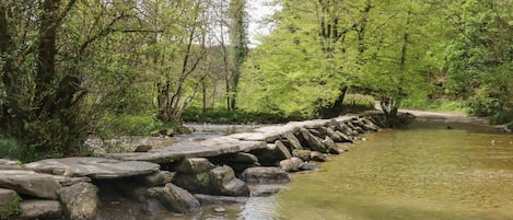 A natural landscape with a stream, rocks, and trees.