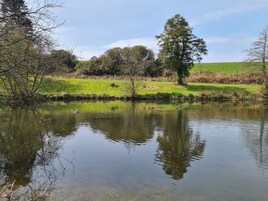 Un estanque tranquilo con patos nadando, rodeado de árboles y zonas verdes.