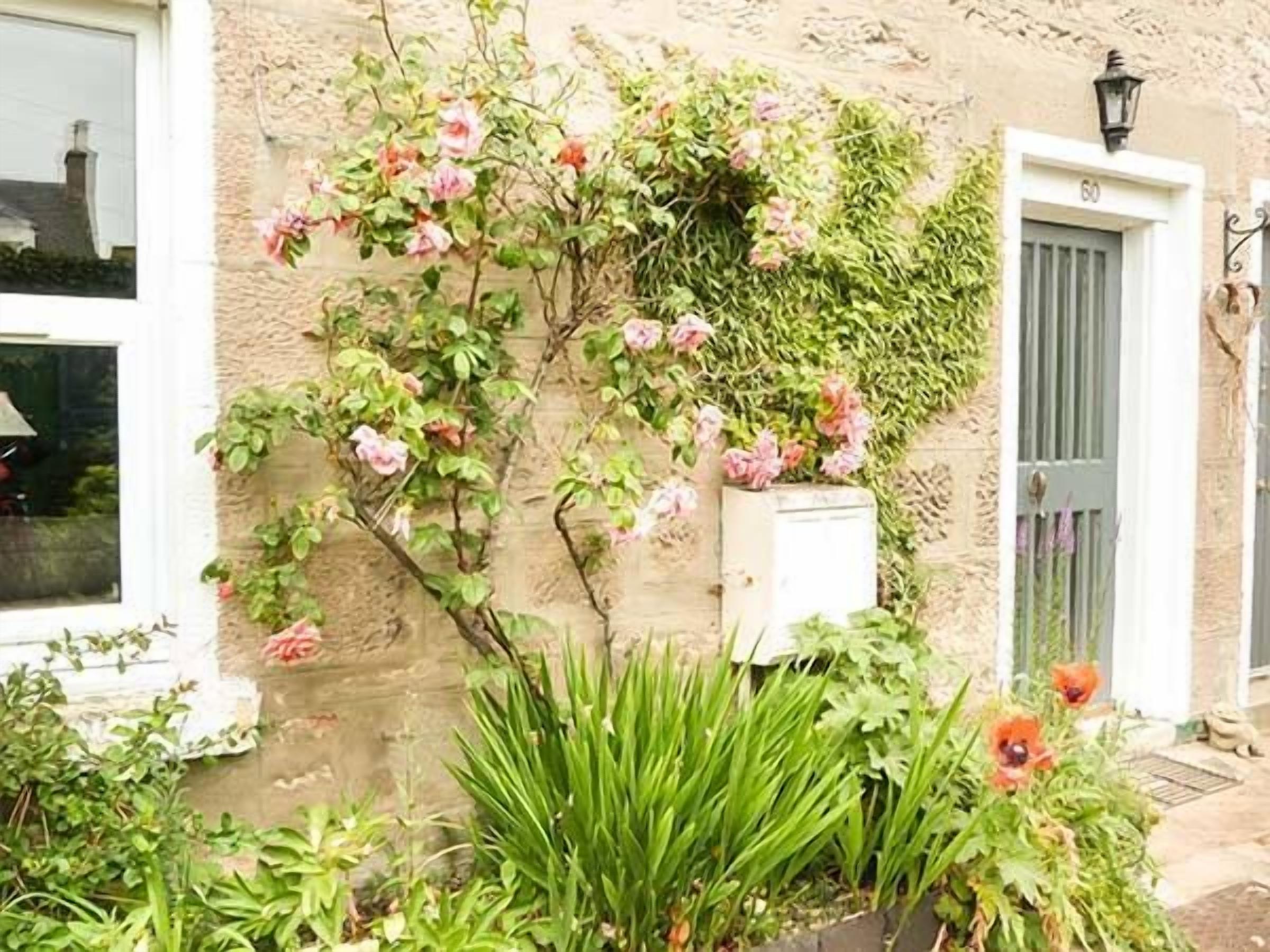 A stone building with a white door, a window, and a small garden with green plants and pink flowers.