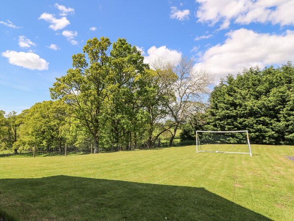 A grassy field with a soccer goal, surrounded by trees and a clear sky. - Foxes Meadow (Llandrindod Wells)