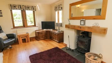 村舍 | 起居区 | 电视、DVD 播放器