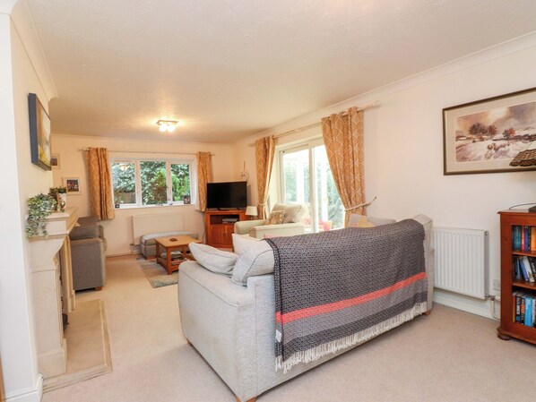 Televisión, reproductor de DVD