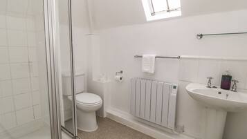 A modern bathroom with a glass shower enclosure, a toilet, a radiator, and a sink.
