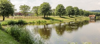 The Mews Flat
