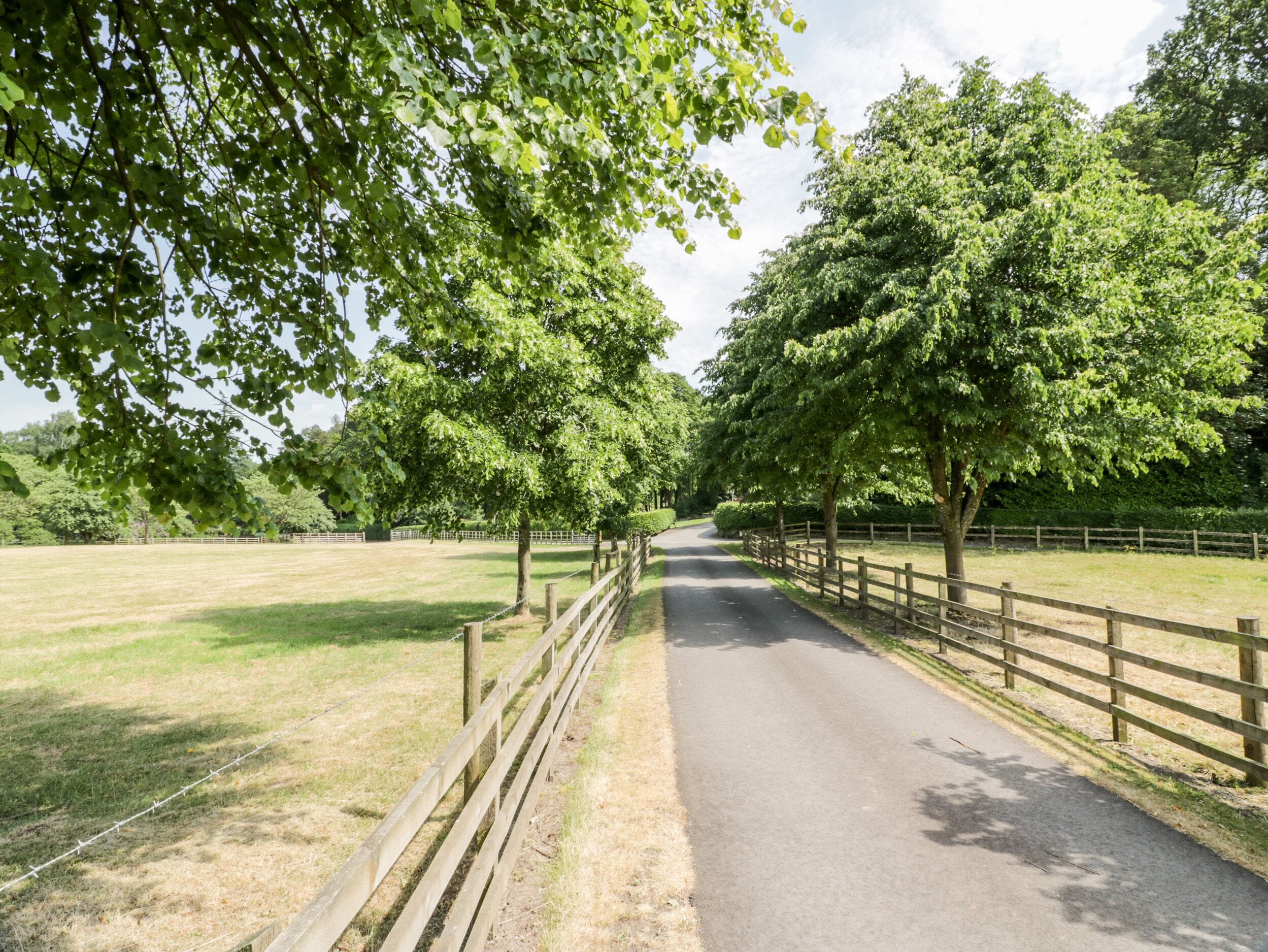 A rural road flanked by wooden fences and trees.