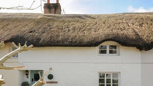 A white cottage with a thatched roof, a blue door, and a small garden. - Larksworthy Cottage (Okehampton)