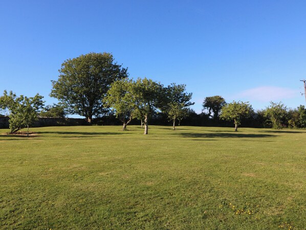 A grassy field with trees and a clear sky. - The Shippons (Pwllheli)