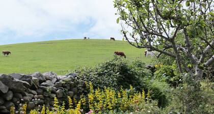 Waingate Cottage