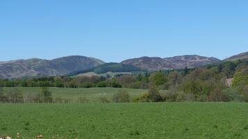 A rural landscape with green fields, trees, and mountains in the background.