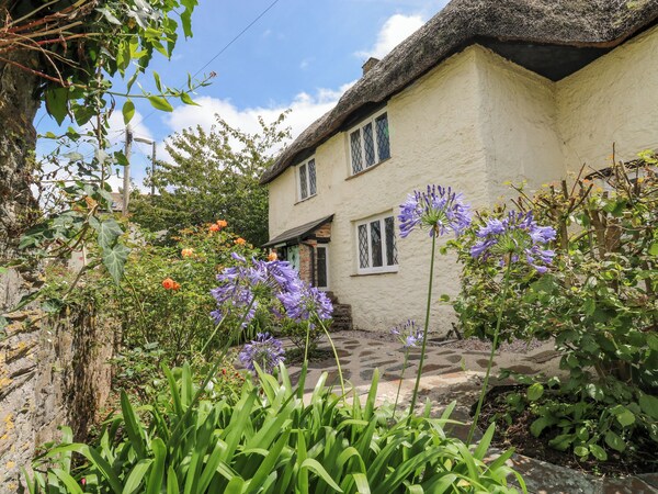 Hearthstone East Cottage - Paignton