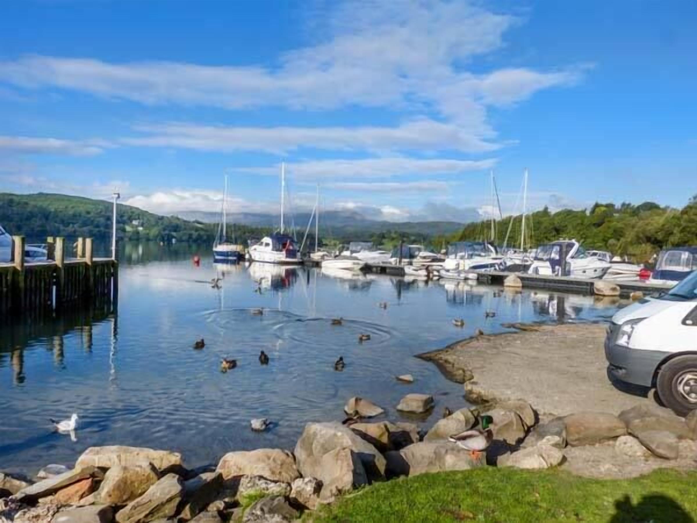 A marina with boats docked, a car, and ducks swimming in the water.