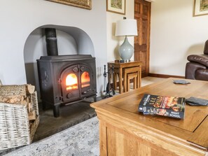 Cozy living room with a traditional wood-burning stove, perfect for reading and relaxation.