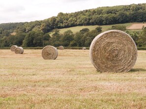 Un campo con varias fardos de heno.