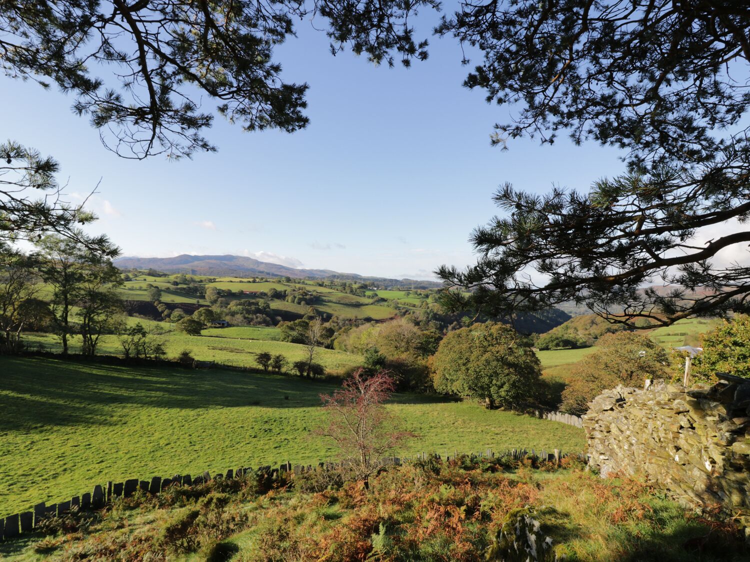 A rural landscape with rolling hills, trees, and a stone wall.