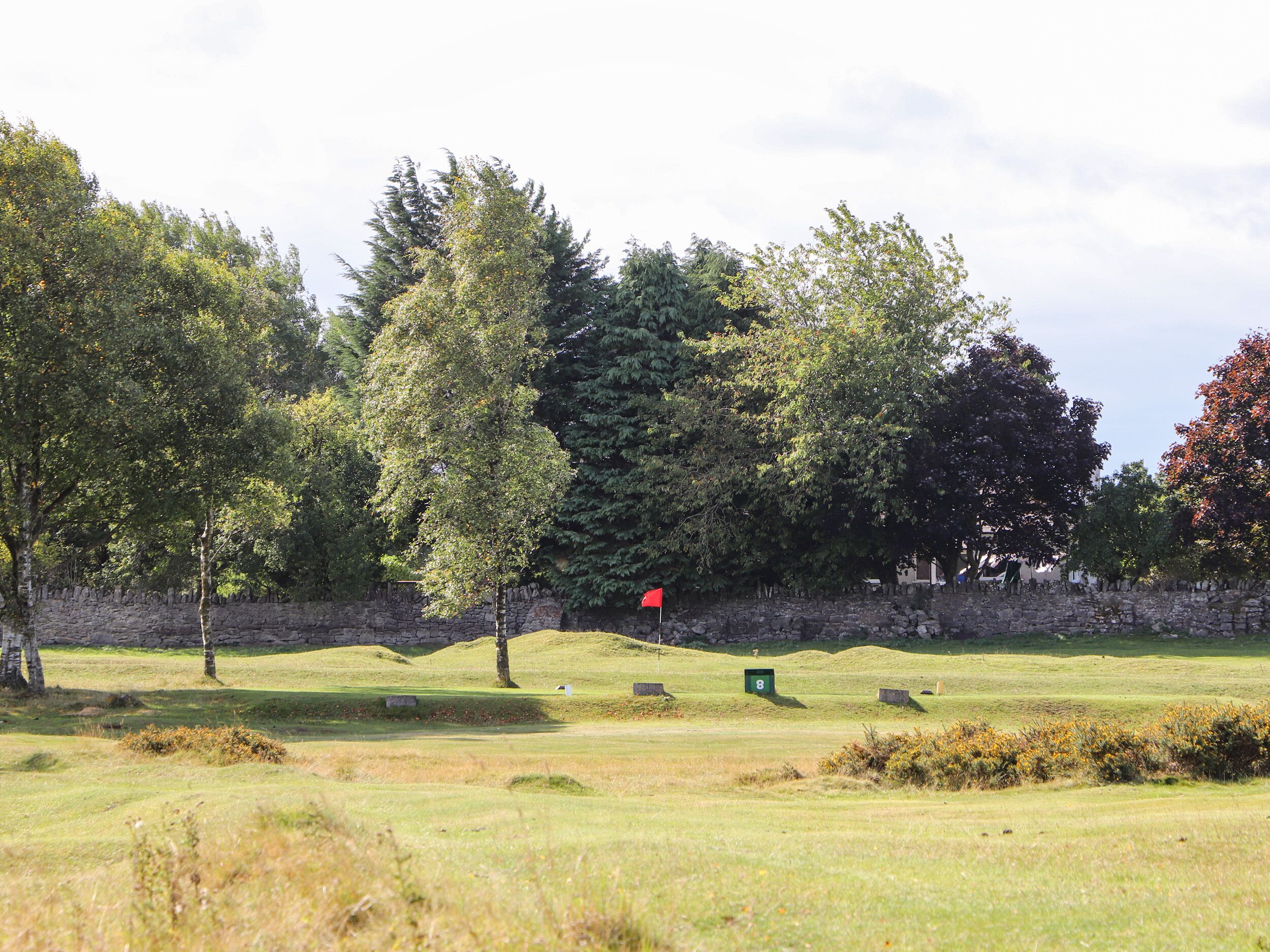 Campo de golf con muro de piedra, árboles y una bandera roja que marca un hoyo.