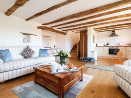 Televisión, reproductor de DVD