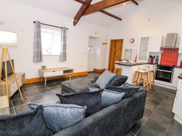 Cottage | Khu phòng khách | TV, đầu đĩa DVD 