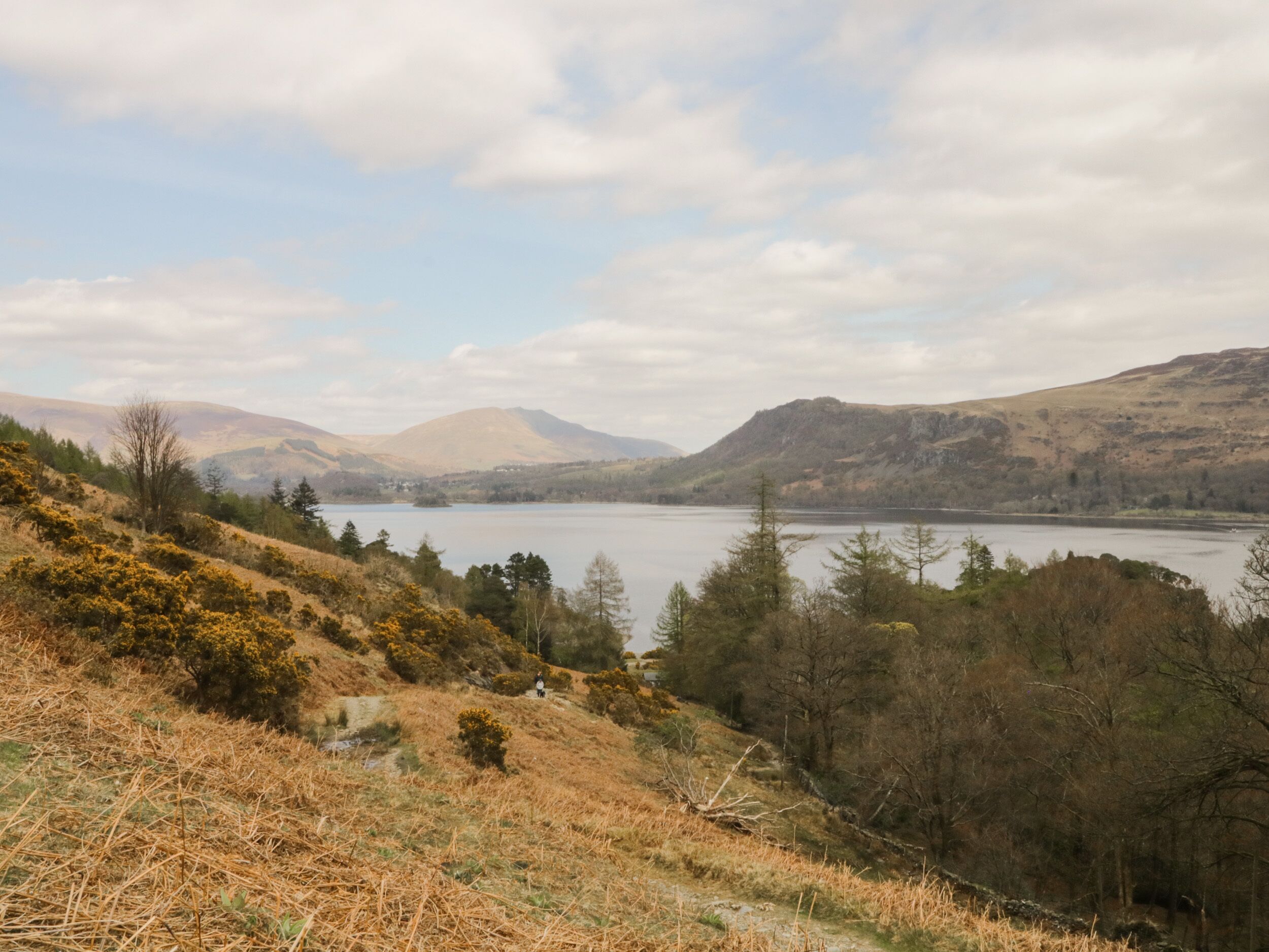 Un paysage pittoresque avec un lac, des collines et une végétation clairsemée.